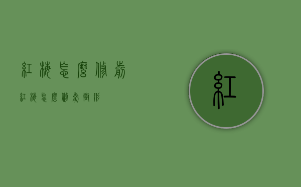 红梅怎么修剪（红梅怎么修剪树形）