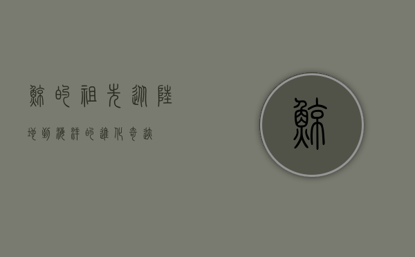 鲸的祖先，从陆地到海洋的进化奇迹