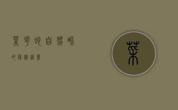 菜花蛇，自然界的隐秘精灵