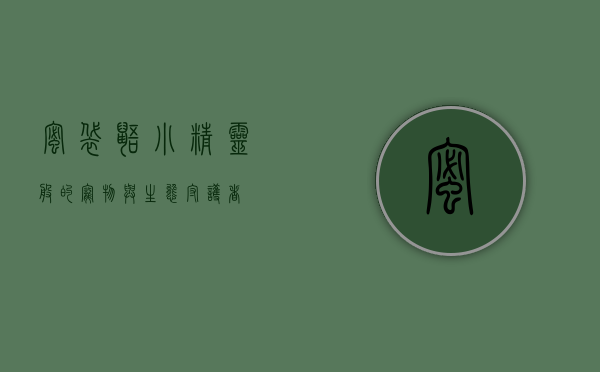 蜜袋鼯，小精灵般的宠物与生态守护者
