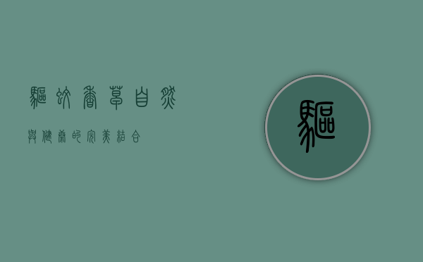 驱蚊香草，自然与健康的完美结合