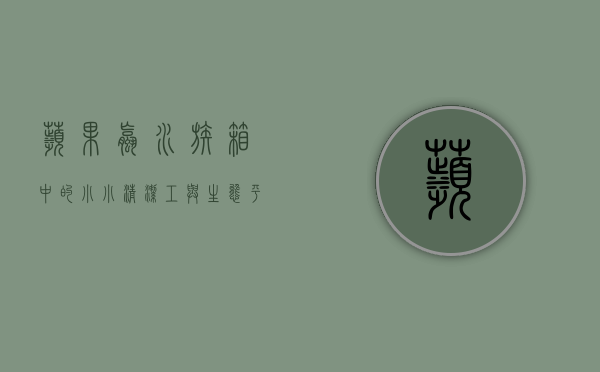 苹果螺，水族箱中的小小清洁工与生态平衡的守护者