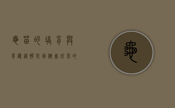 龟苗的培育与养护，从孵化到健康成长的全面指南