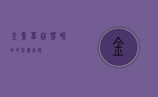 金鱼草，自然界的色彩魔法师