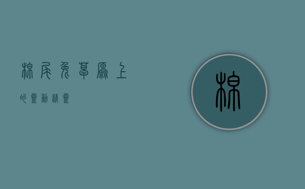 棉尾兔，草原上的灵动精灵