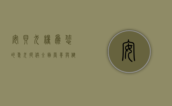 安贝犬粮，为您的爱犬提供全面营养与健康保障