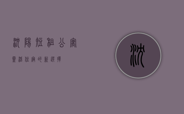 沈阳短租公寓，灵活住宿的新选择