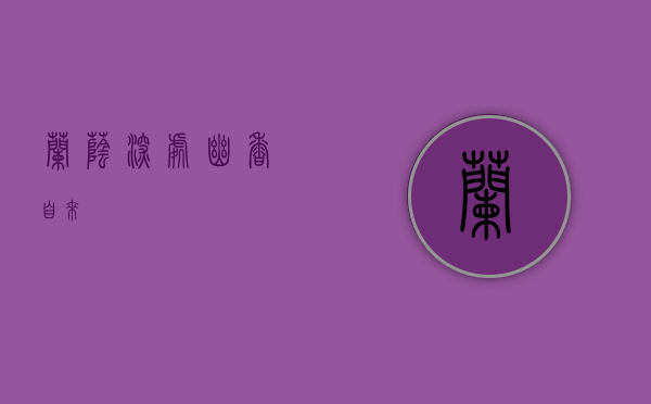 兰荫深处，幽香自来