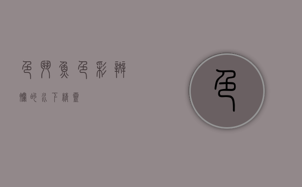 色斗鱼，色彩斑斓的水下精灵