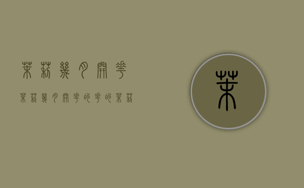 茉莉几月开花,茉莉几月开花的花的（茉莉花是什么月份开）
