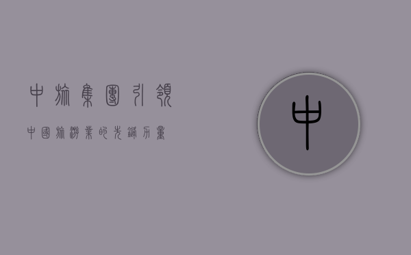 中旅集团，引领中国旅游业的先锋力量