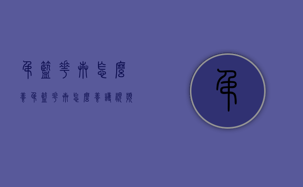 吊篮花卉怎么养（吊篮花卉怎么养护视频）