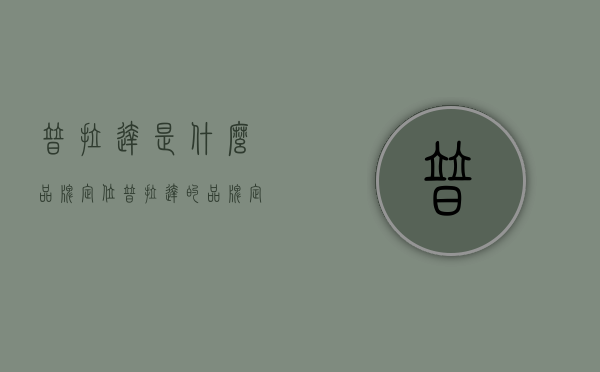 普拉达是什么品牌定位（普拉达的品牌定位）