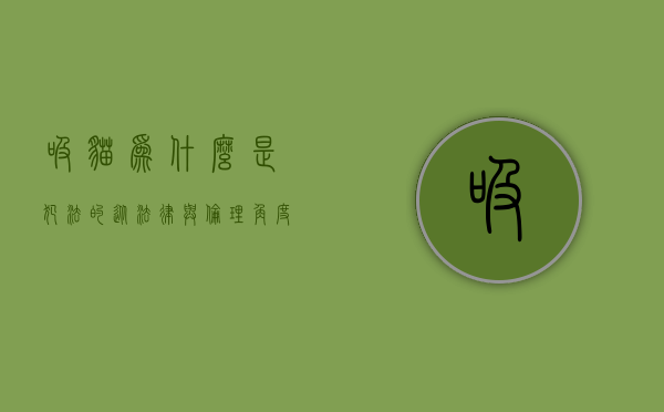 吸猫为什么是犯法的？从法律与伦理角度探讨