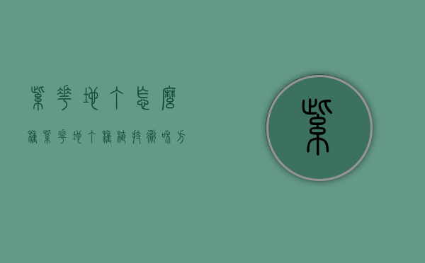 紫花地丁怎么种（紫花地丁种植技术和方法）