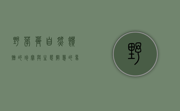 野荸荠，自然馈赠的珍宝与生态智慧的象征