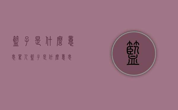 篮子是什么意思（骂人篮子是什么意思）