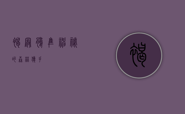 褐冠鹃隼，神秘的森林猎手