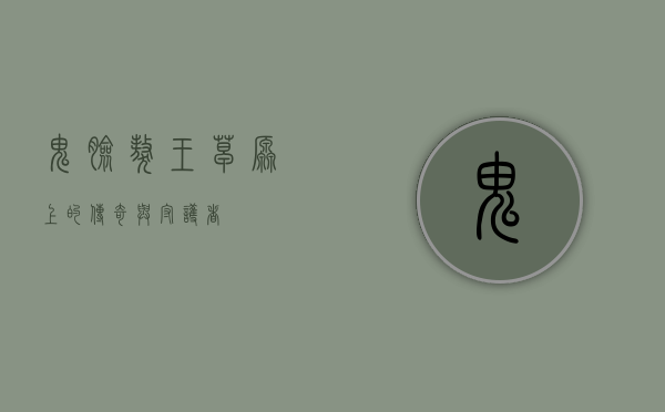 鬼脸獒王，草原上的传奇与守护者
