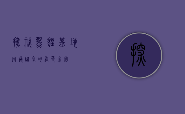 探秘熊猫基地，守护国宝的绿色家园