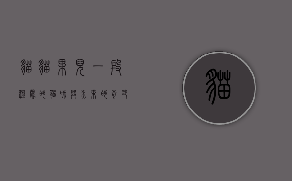 猫猫果儿，一段温馨的猫咪与水果的奇妙邂逅