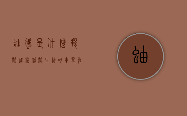 蚰蜒是什么，揭秘这种神秘生物的生态与习性