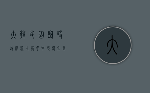 大韩民国临时政府，流亡岁月中的独立梦想与抗争