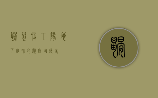 鼹鼠特工队，地下世界的秘密守护者