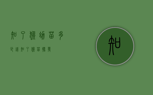 知了猴幼苗多少钱（知了猴苗批发）