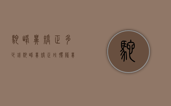 驼峰鼻矫正多少钱（驼峰鼻矫正 硅胶隆鼻）