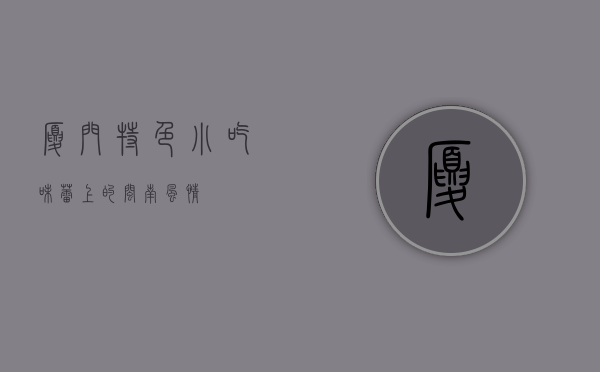 厦门特色小吃，味蕾上的闽南风情