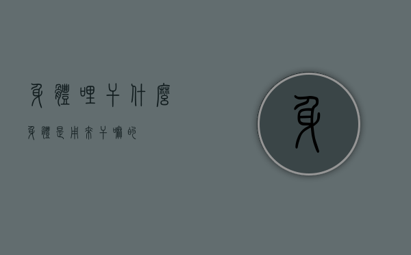 身体??哩干什么（身体是用来干嘛的）