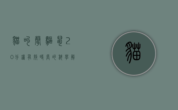 猫叫声驱鼠，20分钟有效时长的科学解析与实践应用