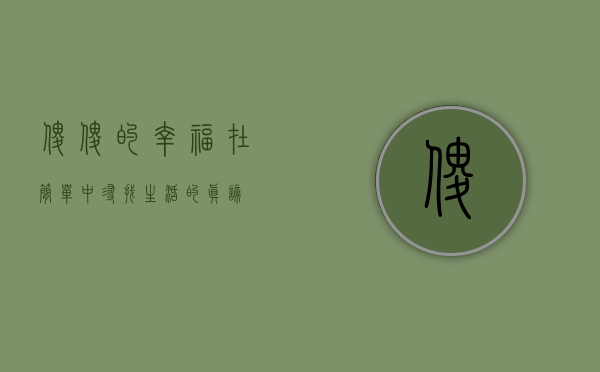 傻傻的幸福，在简单中寻找生活的真谛