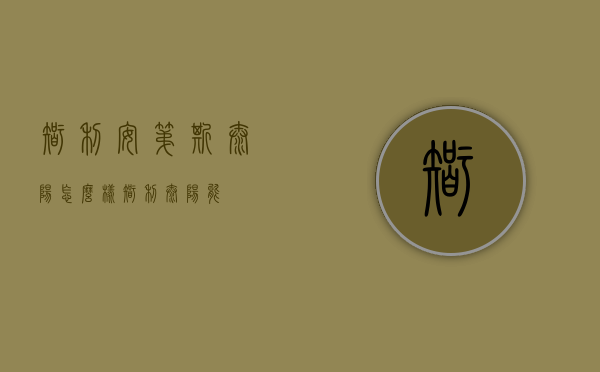 智利安第斯太阳怎么样（智利太阳能）