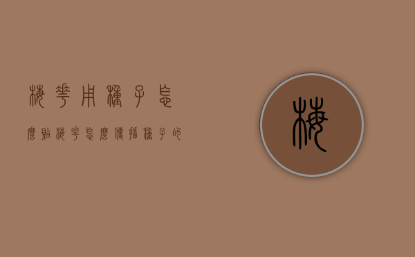 梅花用种子怎么贴（梅花怎么传播种子的方法）