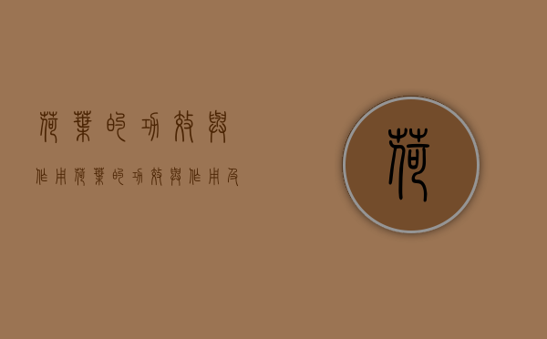 荷叶的功效与作用（荷叶的功效与作用及禁忌）