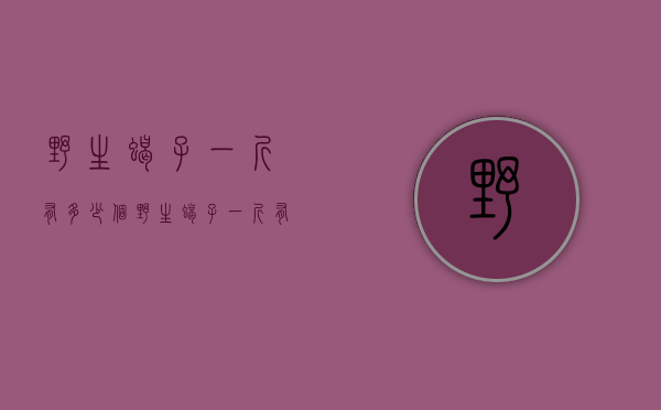 野生蝎子一斤有多少个（野生蝎子一斤有多少个品种）