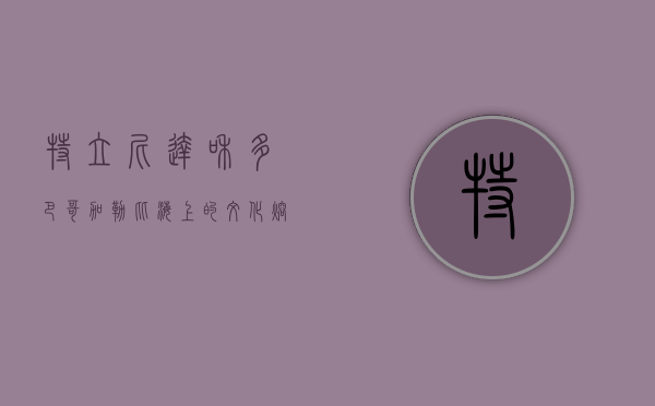 特立尼达和多巴哥，加勒比海上的文化熔炉与自然奇观
