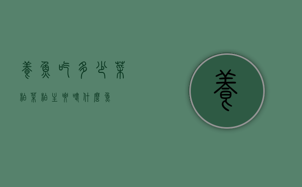 养鱼吃多少菜粕（菜粕主要喂什么鱼）