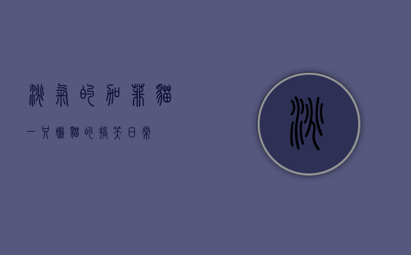 淘气的加菲猫，一只懒猫的搞笑日常