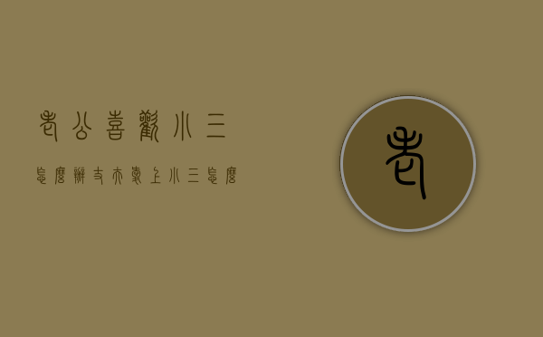 老公喜欢小三怎么办（丈夫爱上小三怎么办？）