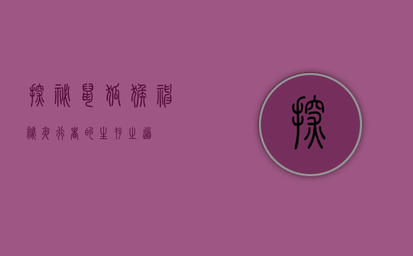 探秘鼠狐猴，神秘夜行者的生存之道