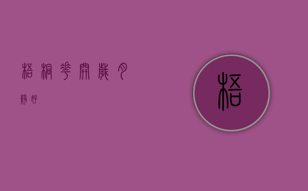 梧桐花开，岁月静好