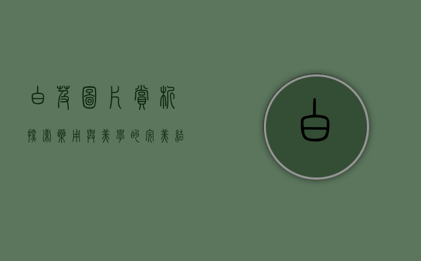 白芨图片赏析，探索药用与美学的完美结合
