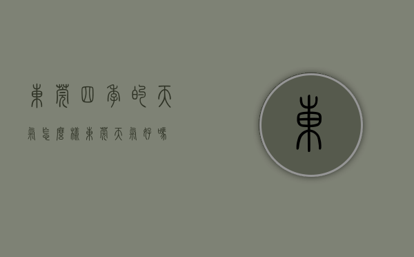 东莞四季的天气怎么样（东莞天气好吗）