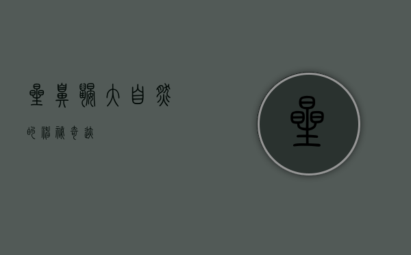 星鼻鼹，大自然的神秘奇迹