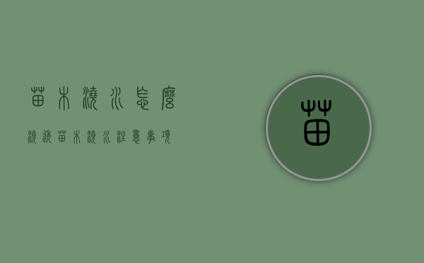 苗木浇水怎么浇透（苗木浇水注意事项）