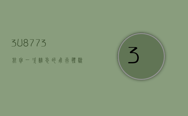3U8773航班，一次难忘的飞行体验与背后的故事