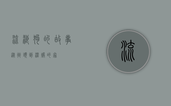 流浪狗的故事，从街头到温暖的家